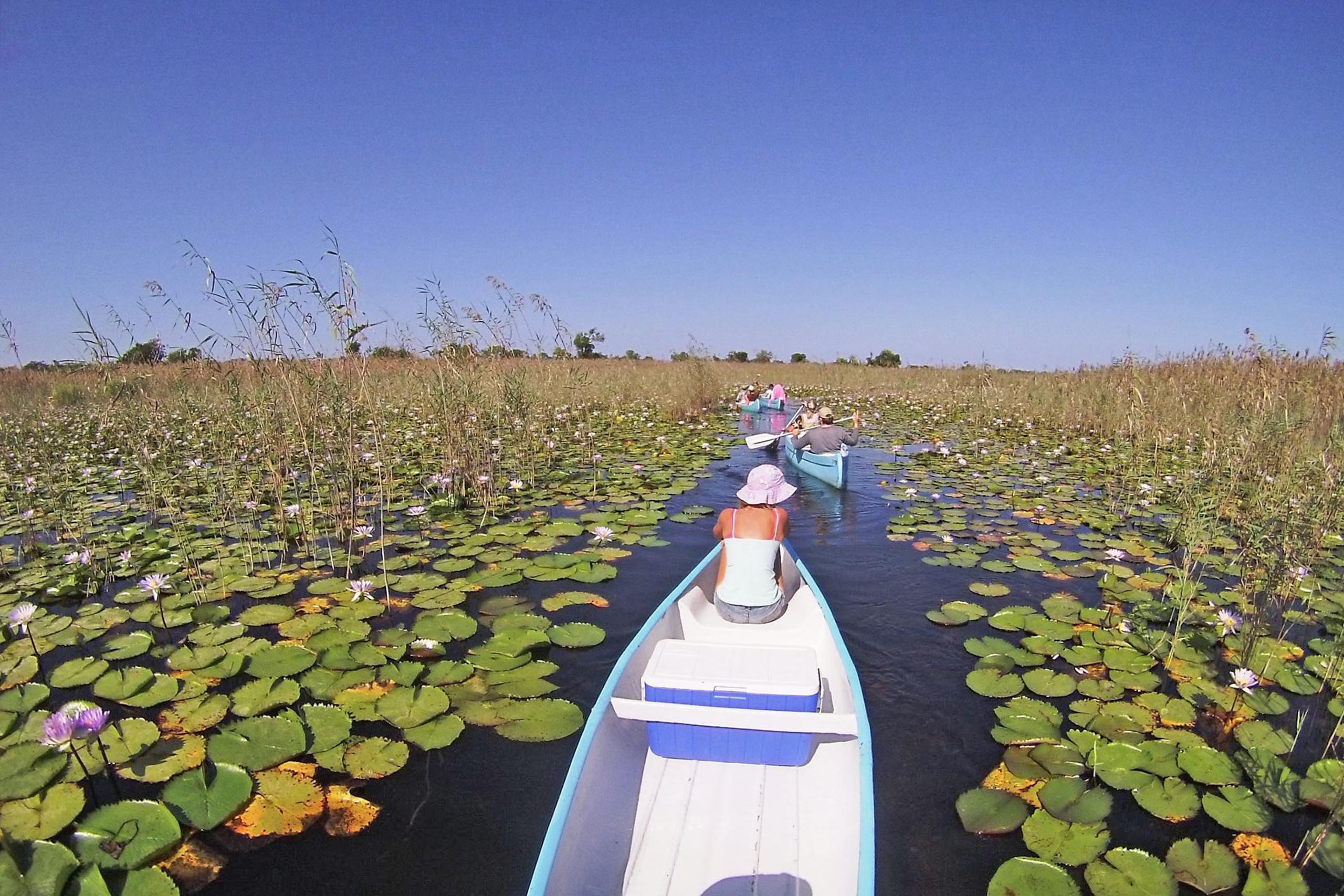 Canoeing Vilanculos - Sea Horse Private Beach House